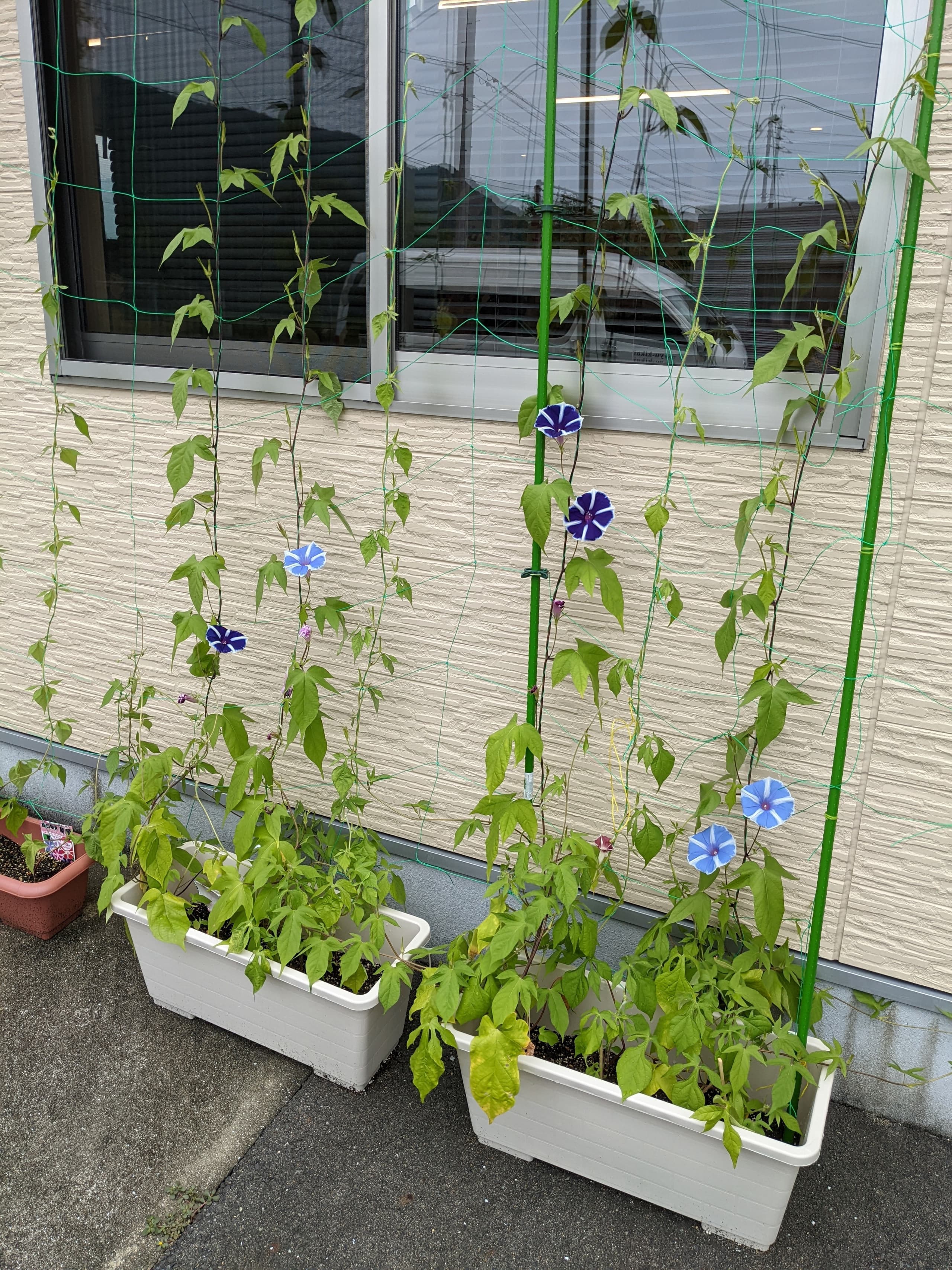 優喜会(きらら)