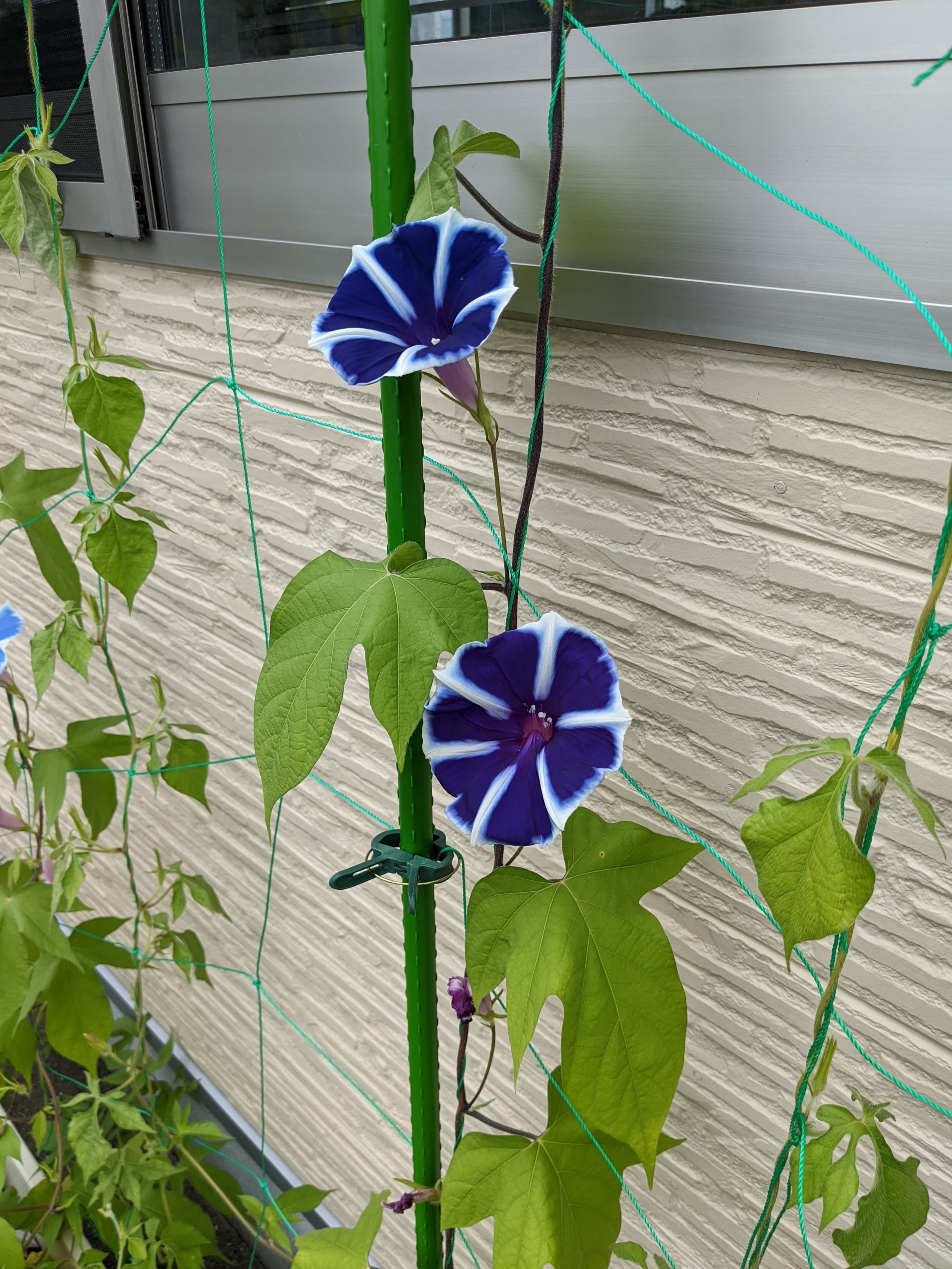 優喜会(きらら)