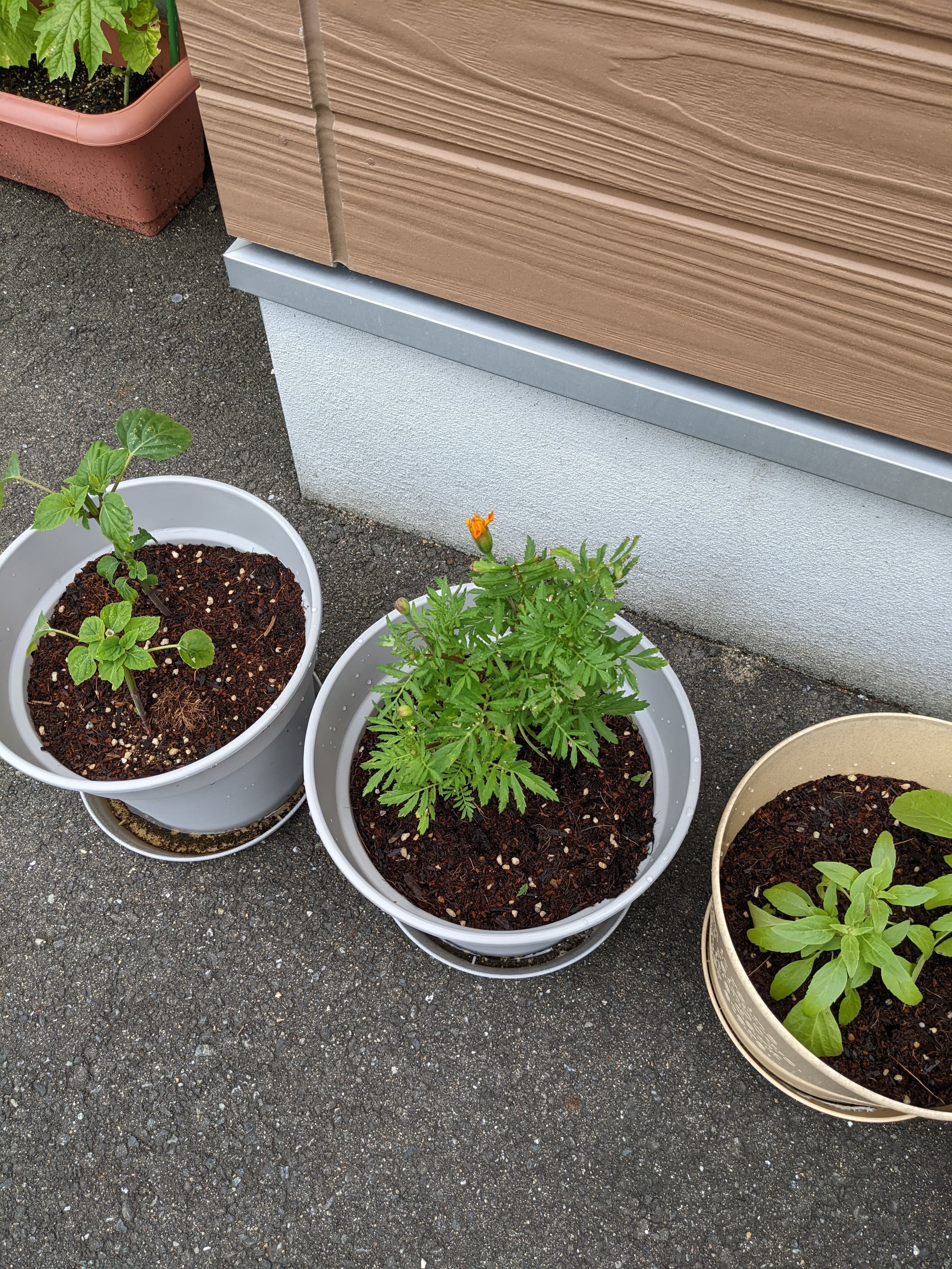 優喜会(きらら)