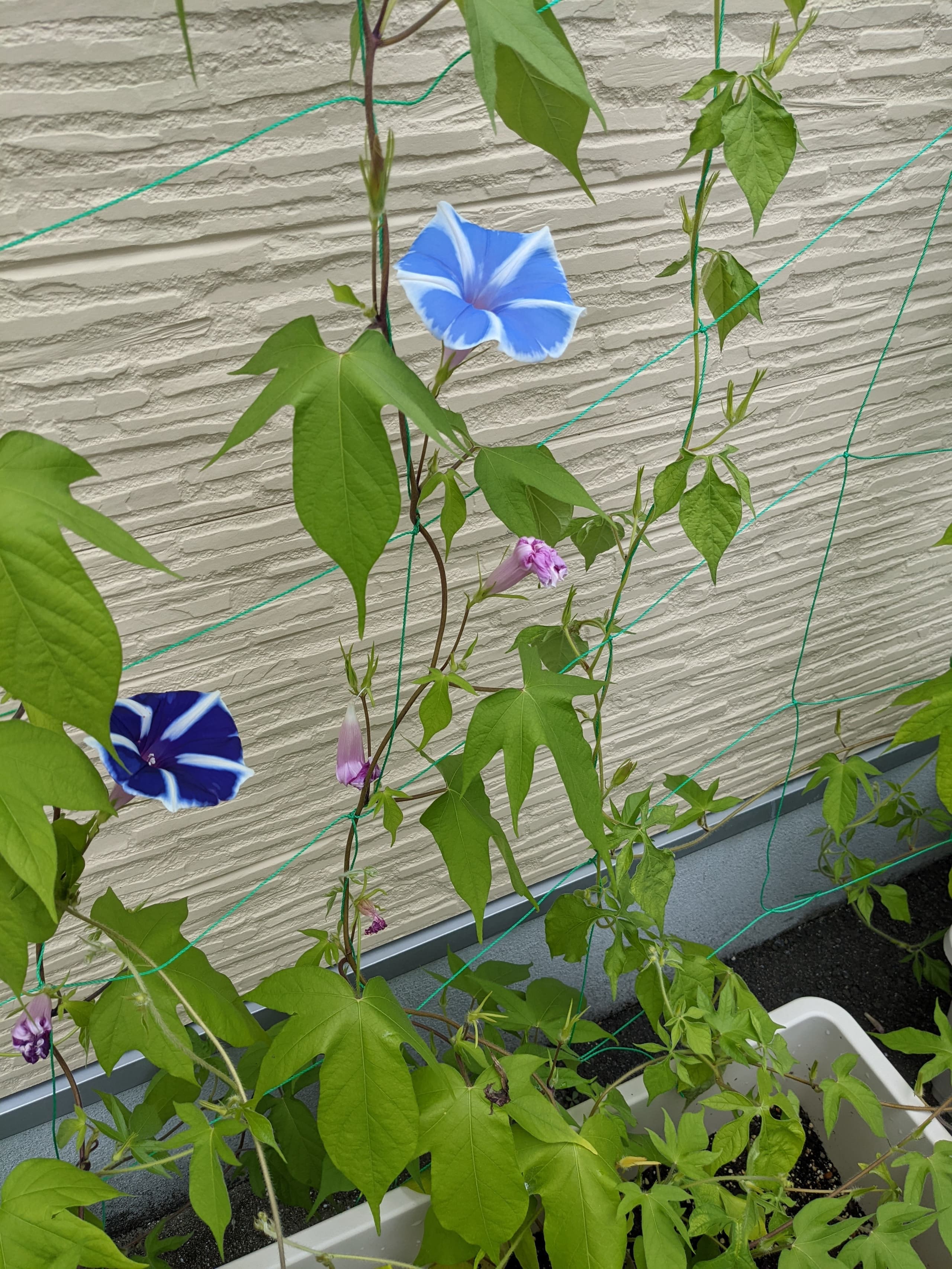 優喜会(きらら)