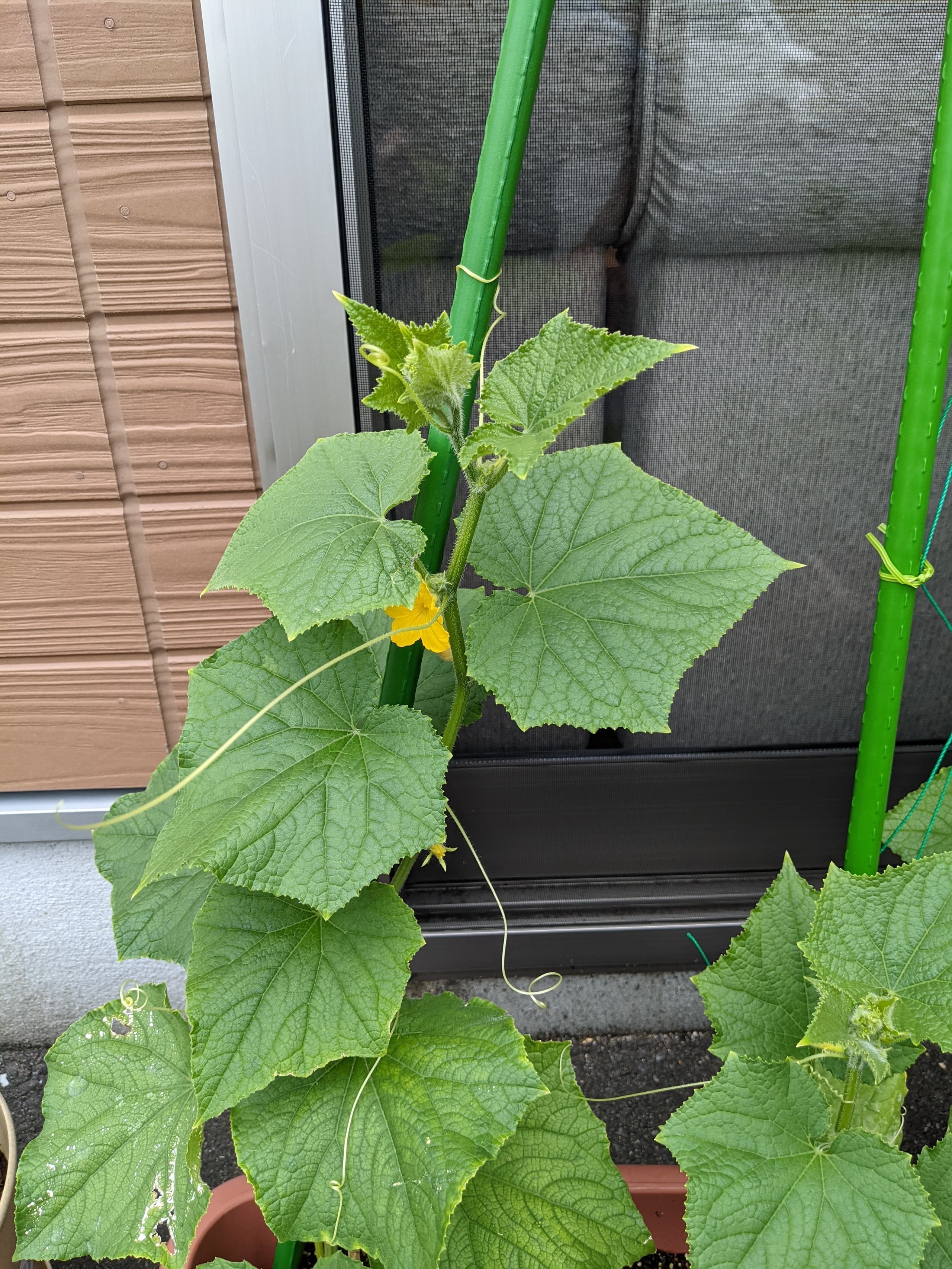 優喜会(きらら)